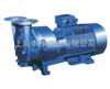 SKA2060水环式真空泵|SKA2060小型直联真空泵价格