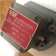 VSE流量计RS 100/128 GRO 42S-ARG