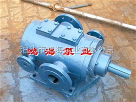 中国泊头生产的3GBW保温三螺杆泵
