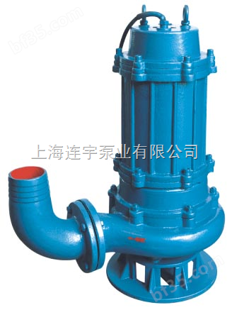 上海*直立式排污泵，直立式排污泵报价，直立式排污泵代理